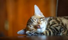 朋友圈点赞最多的搞笑说说