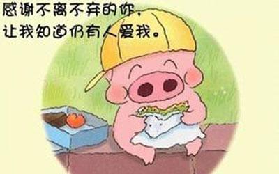 希望成为有翅膀的鸟