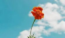 开心快乐积极向上的句子