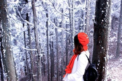 您在雪中看到的句子是什么