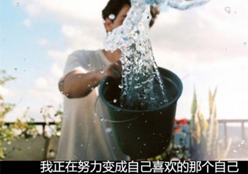 只有付出他人两倍的努力