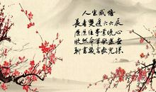 抒情意境深远的诗句