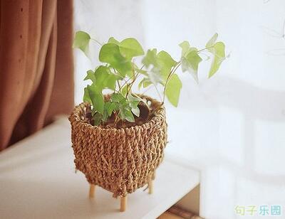 祝您生活愉快