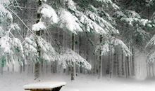 关于八一建军节的优美句子