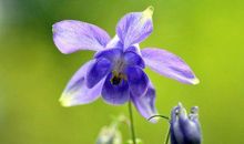 给爱过的人问候短信