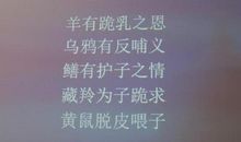 关于女人背叛的句子