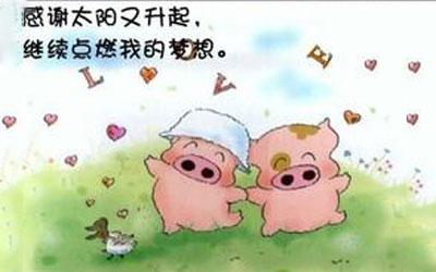 我就像一块肉