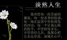 形容人淡然的句子