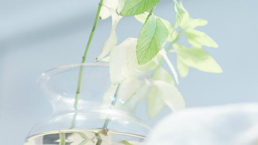 请享受编辑编写的关于描述学术研究的句子