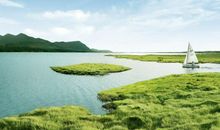 关于梅花的经典诗句