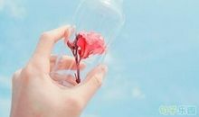 最新正能量的短语：欠自己一个努力的模样