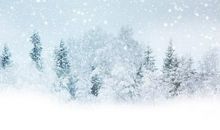 描写雪的诗句大全