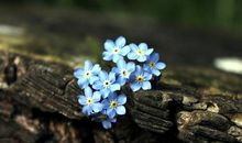 忽略别人的感受的说说