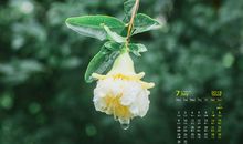 努力让自己过得开心的句子