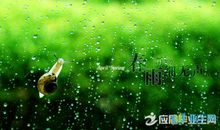 描写春雨的句子63句
