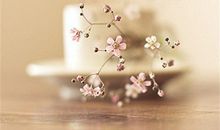 对老婆出轨失望的句子