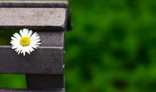 睡着了被蚊子咬醒的说说