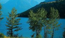 与月亮有关的经典诗句