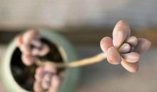 文艺唯美的句子:青春本来就是马不停蹄的相遇和错过