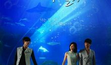 听见你的声音经典语录