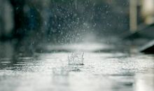 对婚姻失望对家庭失望的句子