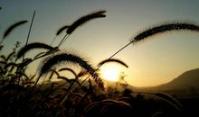 描写对事物失望的句子