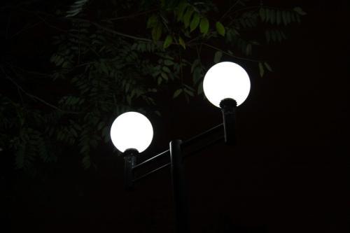 让我们看一下编辑人员编写的关于“快乐之夜”的句子