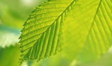 关于酒的搞笑开心的句子