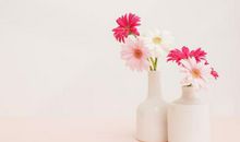 形容亲情的短句子说说心情短语