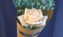 强者胜利开心的句子