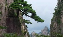 描写黄山美景的诗句