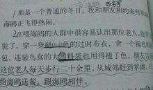 描写老人神态的句子