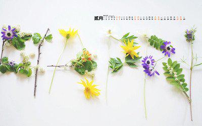 了解更多有关人的信息使我感到宽慰