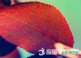 我们可能不知道什么是真理