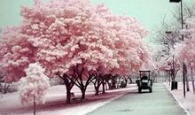 心静自然淡定的句子