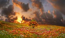 记忆力不好朋友圈说说