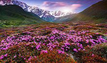 下雨天周末短信问候语