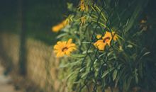 加油开心的句子