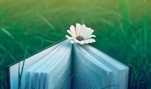 温馨幸福的小句子