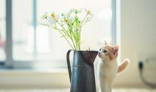 关于写亲情故事的句子