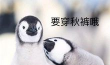 微信朋友圈今天好冷的说说