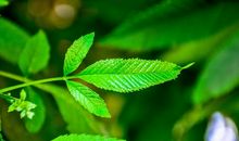 形容一家人出去玩很开心的句子