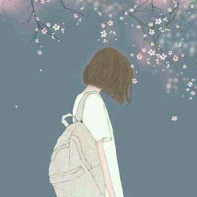 原则