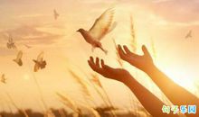 2020年疫情感慨说说句子 面对这次疫情的感悟说说