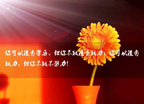 无论失败多少次