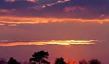 有关做错事后悔的句子