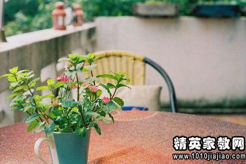 漫长的道路