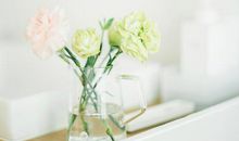 亲情优美句子大全