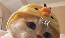 自己孕吐难受无助的说说