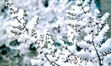 冬至搞笑说说句子 搞笑的段子